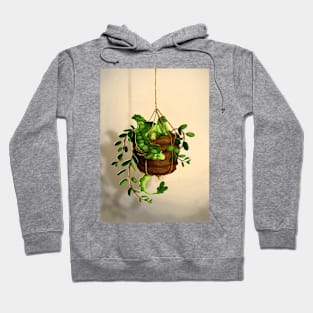 Succulent dragon Hoodie